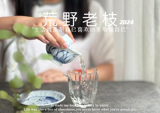 【2024春茶来了】2024荒野老枝，一款极其稀缺的特制荒野茶，今年披着白牡丹的外衣，品相有史以来zui高！ 商品图10
