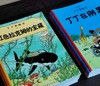 《丁丁历险记》，16开平装，彩绘本，比利时 埃尔热著，中国少年儿童出版社2021年版，印次不详，定价506，售价202元。品相95成 商品缩略图2