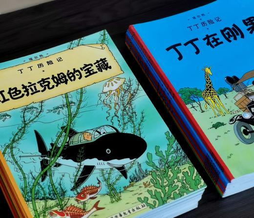 《丁丁历险记》，16开平装，彩绘本，比利时 埃尔热著，中国少年儿童出版社2021年版，印次不详，定价506，售价202元。品相95成 商品图2
