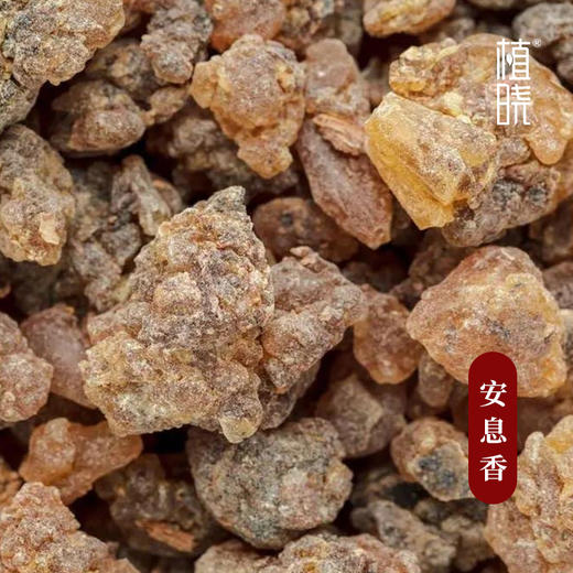 植晓 安息香精油 5ml 商品图1