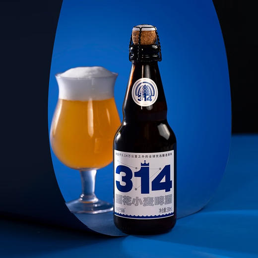 辛巴赫精酿314酒花小麦精酿啤酒小麦高端啤酒 商品图3