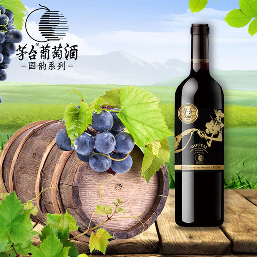茅台葡萄酒 茅台M10国韵赤霞珠美乐干红葡萄酒 整箱750ml*6瓶包邮 商品图0
