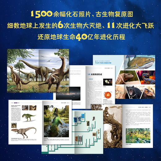 《生命进化史（增订版）》 全新修订 全国首席科学传播专家王章俊十年打磨原创力作  中国科学院多位院士、中国地质学会联袂推荐  一本书读透40亿年地球生命演化传奇！ 商品图2