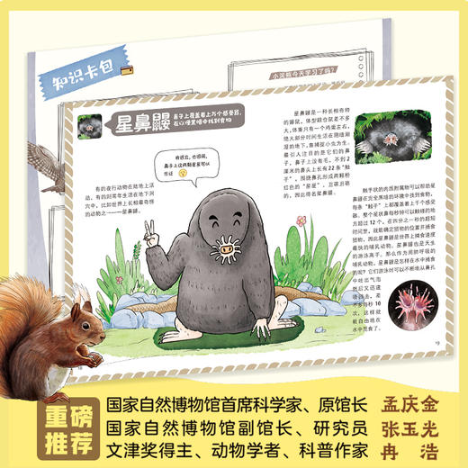 疯狂动物爱群聊(全4册) 商品图1