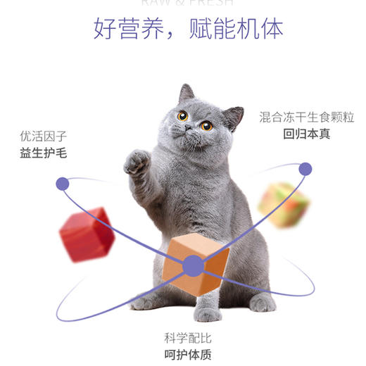【正品】伯纳天纯鲜系列海洋盛宴全价全期猫粮7kg猫粮冻干猫粮英短美短布偶猫主粮 商品图4
