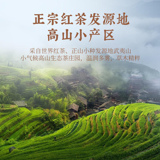 华祥苑特级颂茗武夷山正山小种红茶60g/盒 商品图2