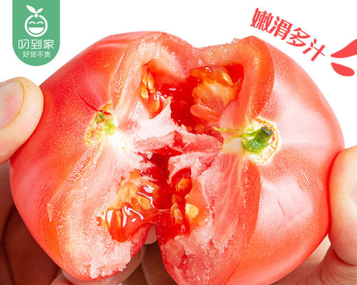 山东新鲜粉西红柿（1kg±70g/份） 商品图2