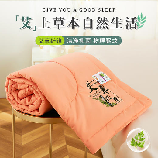 「数款可选！新款艾草驱蚊夏被」夏季空调被 可水洗机洗单双人夏凉被礼品床上用品 商品图3