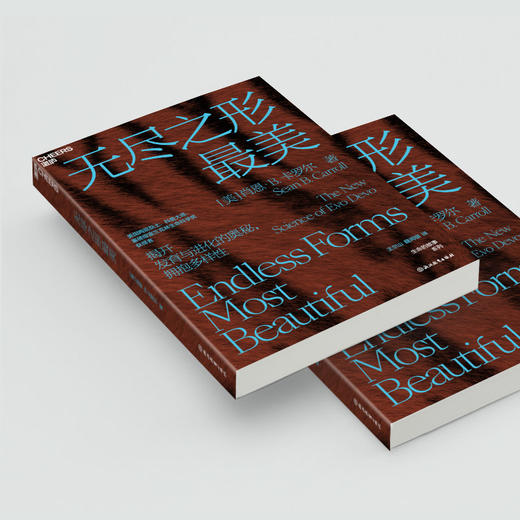 无尽之形最美 揭开发育与进化的奥秘 拥抱多样性 商品图4