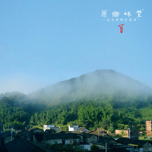 生态梅汁/青梅汁（成都仓库-顺丰快递 ）| 冰糖/红糖/蜂蜜梅汁550ml/瓶，来自广州从化，生产者：汇耕田【合作生产，公平贸易】 商品图7