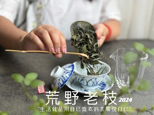 【2024春茶来了】2024荒野老枝，一款极其稀缺的特制荒野茶，今年披着白牡丹的外衣，品相有史以来zui高！ 商品图8