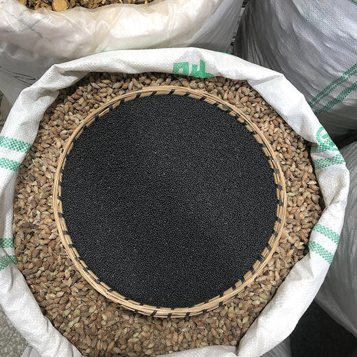 王不留行子    生颗粒 商品图2