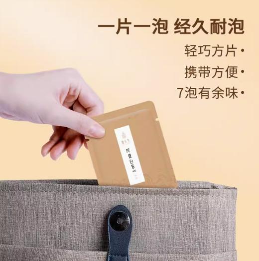 魏先生 陈皮白茶400  120克（5克*24泡） 商品图3