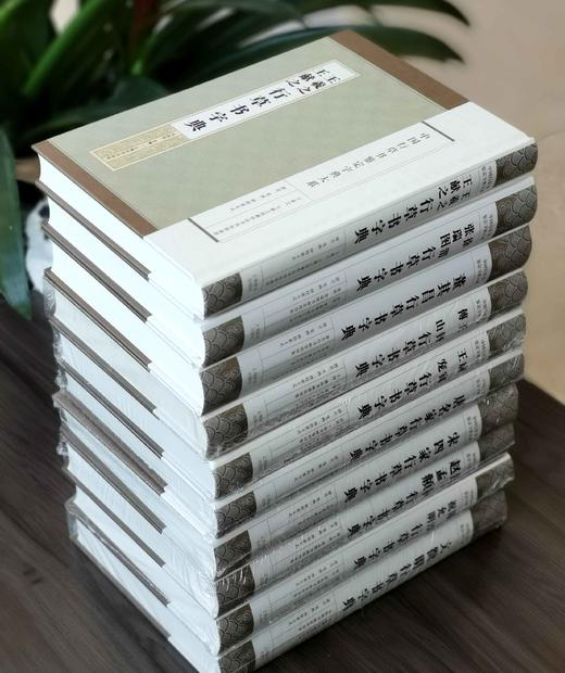 中国行草书鉴定字典大系：
 
《王羲之·王献之行草书字典》
《唐名家行草书字典》
《宋四家行草书字典》
《鲜于枢·赵孟頫行草书字典》
《祝允明·陈淳行 商品图3