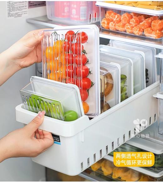 韩国 昌信 冰箱收纳密封盒系列 厚实食品级PP材质耐冷热 商品图3