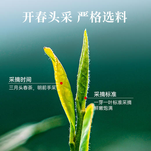 华祥苑云南滇红茶正宗红茶自饮口粮160g 商品图3