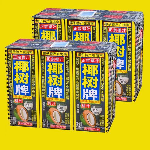 椰树椰汁 245ml*6盒/扎 商品图1