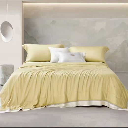 【6F】罗莱 粹 超柔无边川山蜀丝夏被 商品图2