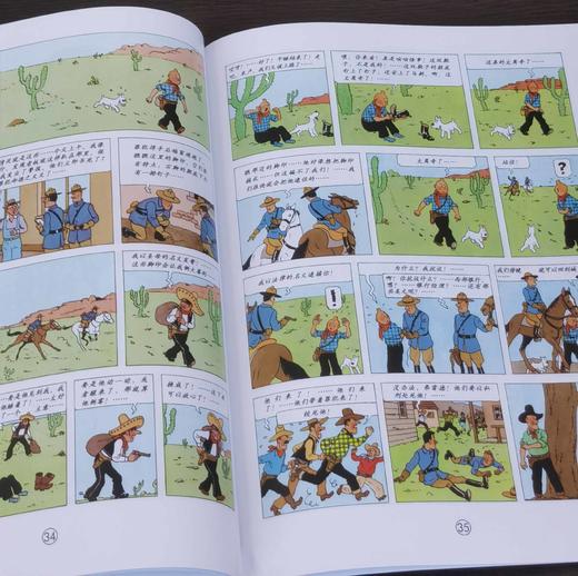 《丁丁历险记》，16开平装，彩绘本，比利时 埃尔热著，中国少年儿童出版社2021年版，印次不详，定价506，售价202元。品相95成 商品图7