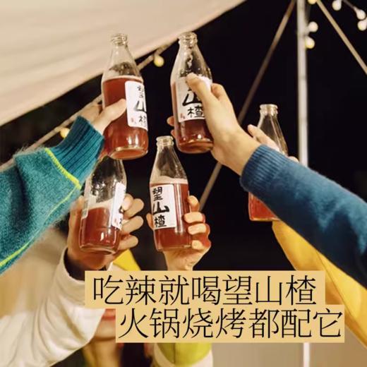 好望水 望山楂（山楂果汁气泡水）300ml 商品图4