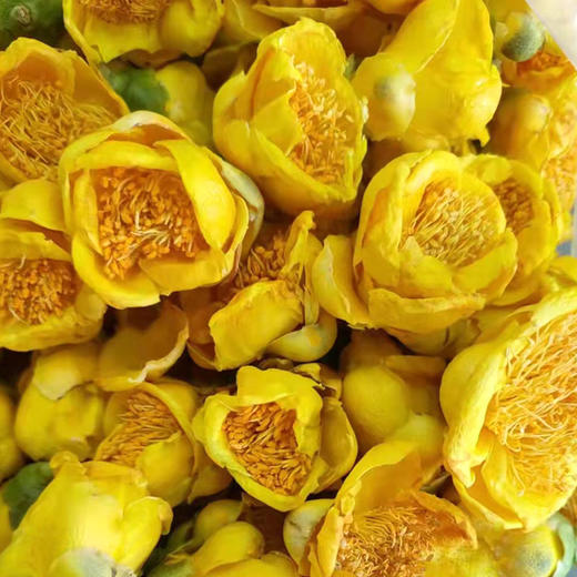 金花 金花茶 500g 商品图1