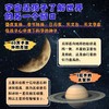 宇宙*：星际穿梭之旅  探索宇宙奥秘 儿童绘本科普书籍 儿童天文学 商品缩略图4