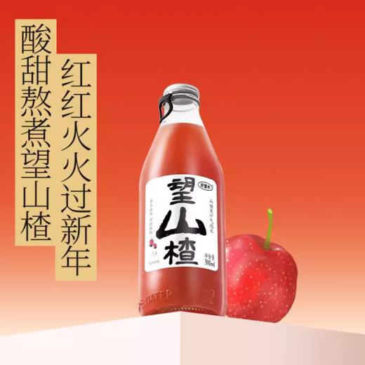 好望水 望山楂（山楂果汁气泡水）300ml 商品图1