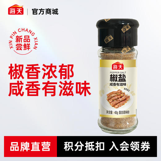 海天孜然粉28g海天椒盐40g烧烤专用香料冷磨留香 商品图1