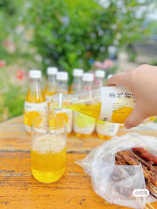 黄亦玫同款气泡水！【别样泡泡气泡茶】解腻开胃 连续三年荣获国际美味大奖 大餐的神器伴侣 喝出高级感~ 商品图5