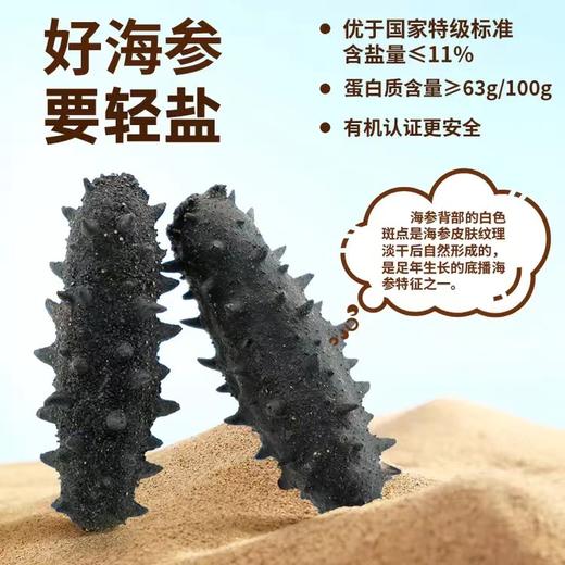 B1F 上品堂轻盐干海参       规格：500g/盒（81-100头） 商品图6
