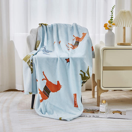 红蜻蜓法兰绒毯随身四季通用毛毯午睡毯办公室空调毯毯子-马到功成 75*100cm 商品图1