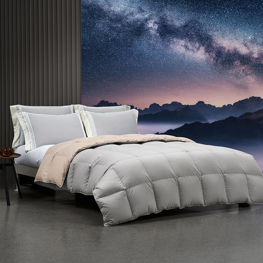 梦洁 5A银标95%美洲雁绒被 1956S启明星羽绒被鹅绒被 商品图3
