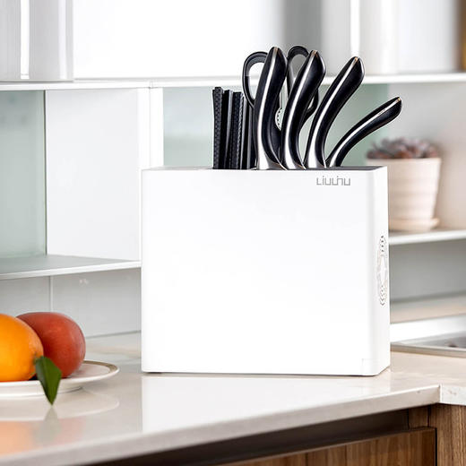 六竖杀菌消毒刀筷架LSZCA02W 商品图0
