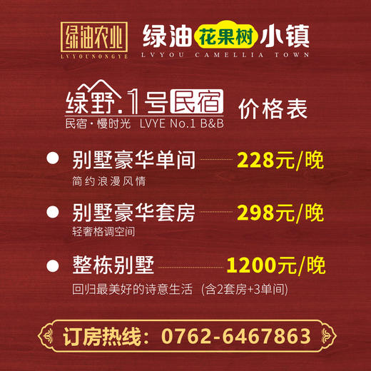 绿野1号民宿——山水源墅 商品图6