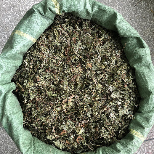 猪鬃草    小叶 商品图4