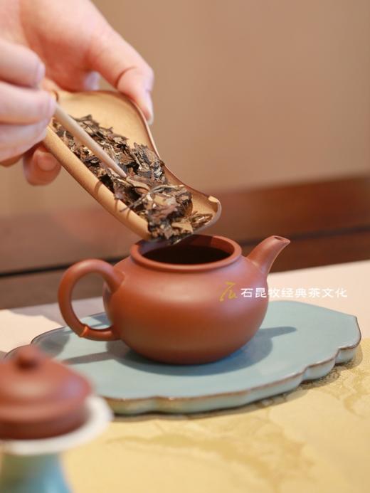 2024知白•古树白茶  云南白茶 石昆牧老师定制 商品图2