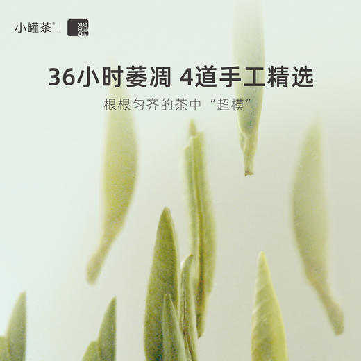 小罐茶 白毫银针特级（经典）20罐装 【现货】 商品图3