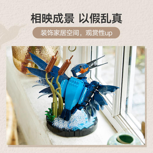 乐高积木L10331乐高ICONS系列翠鸟 商品图4