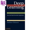 预售 【中商原版】奥尔森 深度学习 思维如何超越经验 How the Mind Overrides Experience 英文原版 Stellan Ohlsson 商品缩略图0