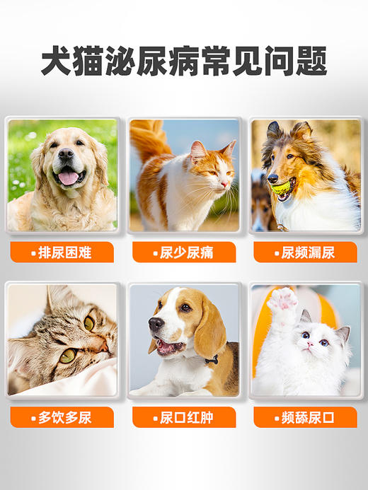 普安特犬猫利尿药 泌维纳（氢氯噻嗪片）zx 商品图2