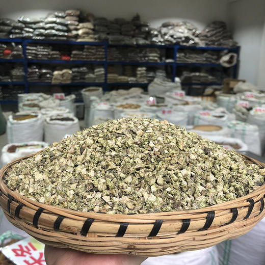 刺蒺藜 野外生长，货真价实中药材 商品图1