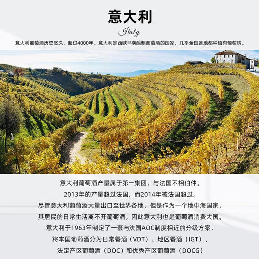 西施佳雅红葡萄酒750ml（2018年份） 商品图2