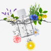 六竖杀菌喷香机 LSOWD01WH 商品缩略图3