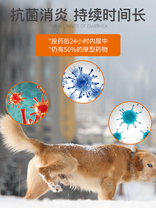 普安特宠物头孢消炎药狗狗猫咪皮肤炎症脓皮症泌尿感染尿道炎耳炎头孢羟氨苄片埃素达 商品图1