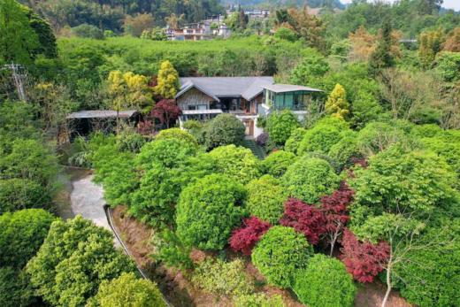 【雅安-302号院】5房茶园里的独栋院子，可3房、4房、5房包院，带KTV、泳池、和机麻BSFH 商品图6