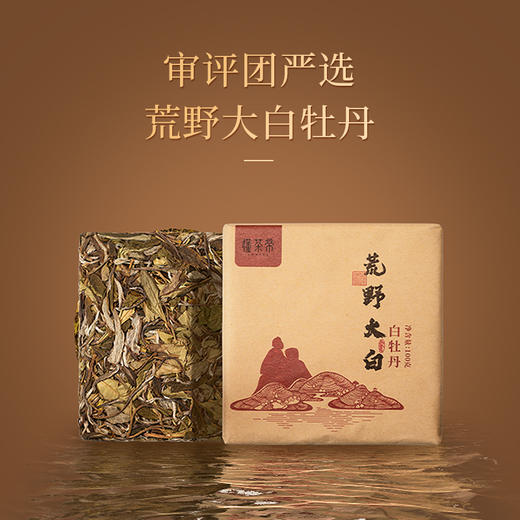 懂茶帝-福鼎白茶吴洋山2021年荒野大白（白牡丹）100g/砖 商品图4