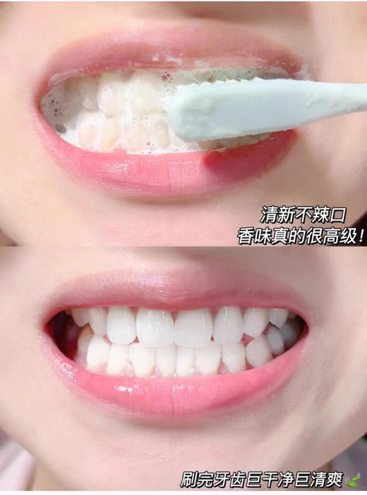 【清仓好价】倍瑞傲皇丽花园派缤按压式牙膏(冰澈薄荷)285g*2盒（效期至24.12） 商品图2