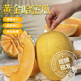 新疆黄金哈密瓜当季新鲜水果4.5斤