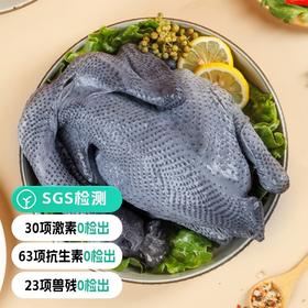 【远方检测SGS23项兽残0检出正宗泰和乌鸡原种至尊老母鸡】原生态散养 无抗无激素 乌鸡血统纯正 国家地理标志产品 新鲜现宰