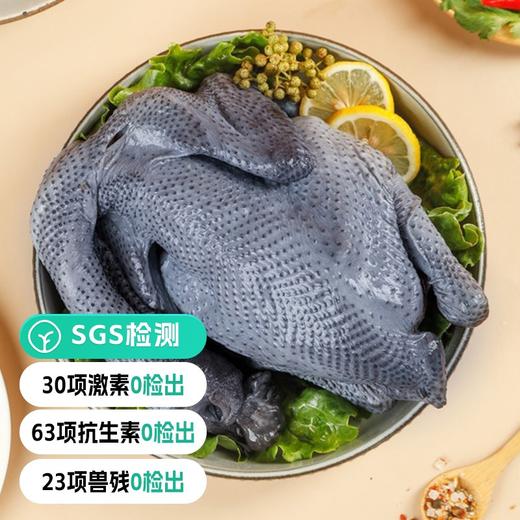 【远方检测SGS23项兽残0检出正宗泰和乌鸡原种至尊老母鸡】原生态散养 无抗无激素 乌鸡血统纯正 国家地理标志产品 新鲜现宰 商品图0